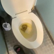 yourfavoritefartgirl did someone order some soft serve chocolate ice cream