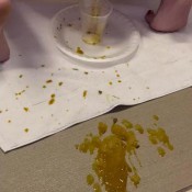 Summersuxxx Squirting Shits!! Summer Suxxx