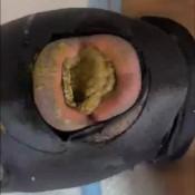 my good toilet eats every last piece mistress zaida