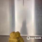 shitting in the sink nicolette bloom