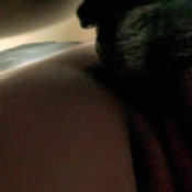 horny, pregnant, farting hd lush botanist