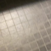 yourfavoritefartgirl oh! em gee