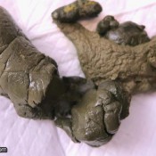 Loverachelle2 - A Week Worth Of Shit