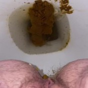 Yourfavoritefartgirl Hangover Shit-