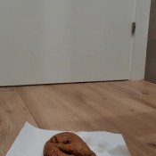 Sweet Lily 84 Scat 39 Sweet_lily_84