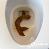 F-shaped Massive Log Pulsifer Paprocki