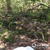 Foot Forest Fun HD Blazed Brat