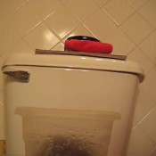 Peteuse - Happa Day 2