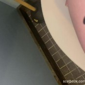 Yourfavoritefartgirl Aaaawww