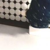 Yourfavoritefartgirl Looks Like Ice Cream