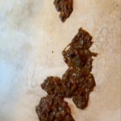 Iamkapri Shit Desperation Ends With Shit Flying Everywhere Kapri Styles