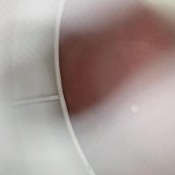 Giantess Debora Giantess Farts And Toilet Debora Moore