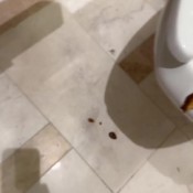 Iamkapri One Day Two Blowouts Kapri Styles