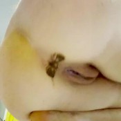 Freckledred Plate Poop