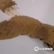 Kittyskatt Desperate Sink Log In Hotel Kitty Klitt