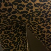 Yourfavoritefartgirl I Cant Believe It Shart