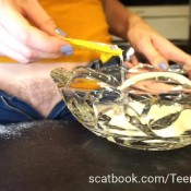 Teenscatgodess Poop Cake