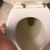 Pulsiferpaprocki Dr Office Piss. Pulsifer Paprocki