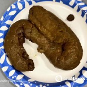 Pulsiferpaprocki Plant-based Shit Pulsifer Paprocki