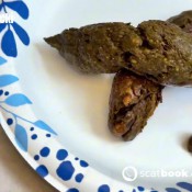 Pulsiferpaprocki Tabbouleh Turd Pulsifer Paprocki