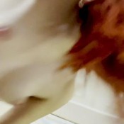 Freckledred_ Plate Poop