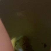 Yourfavoritefartgirl Beep Boop