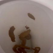 Deep_impact Slave Boy