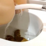 Kittyskatt Huge Dump In Bidet Soiling The Fancy Hotel Further Kitty Klitt