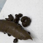 Joi To My Big Thick Poo Doloresnaughties Princess Dolores