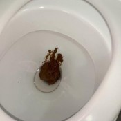 Alicetop Morning Pooping In My Leather Outfit And Smearing Xx 01