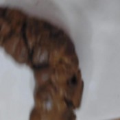 Sarathonson Huge Smelly Farts