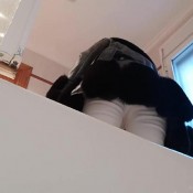 Miss_lith Scat Wc Pov_3 Miss Lith Domina