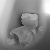 Joy Angeles December2010spycam3