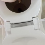 Andromedagalacticbabe Took A Big Dump And Had To Use The Bomb To Unclog It Andromeda Galactea