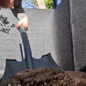 Tattedflapz Best 1 Yet