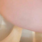 Lil Trees Toilet Dumps