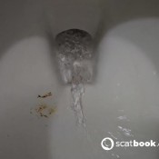 Nerdyfaery Five Morning Poops Compilation Nerdy Faery