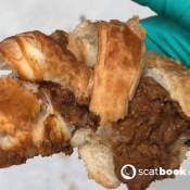 Elladearest Overfilled Croissant Ella Dearest