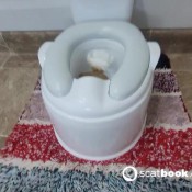 Nerdyfaery Pooping In My New Potty Nerdy Faery