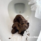 Pulsiferpaprocki Hot Steamy Shit Pile Pulsifer Paprocki