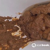 Bitterscat Toilet Poop 12