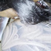 Munro Blaxxx Ad Taylor Nicole 7 Lesbianassworship