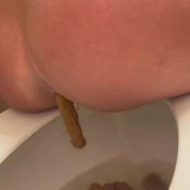 Whey2muchpoo Public Christmas Poo 1 Flush Lexa Stahl