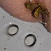 Kittyskatt Huge Diarrhea Attack At Vanilla Shoot Kitty Klitt