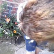 Poopyprincesspixi Watering The Pretty Flower