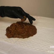 Elladearest Kidney Bean Poop Ella Dearest