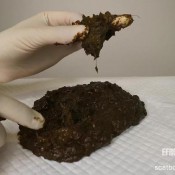 Elladearest Day After Cleanse Complete Ella Dearest