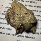 Tallgoddessxo Asshole Big Ass Feet Fetish Hairy Pussy Long Legs Tall Tattooed -01