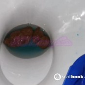 Xobunny3 Look At My And My Poop XOBunnyXox