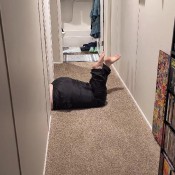 Kelly Shamrock Gf Caught Being Gassy